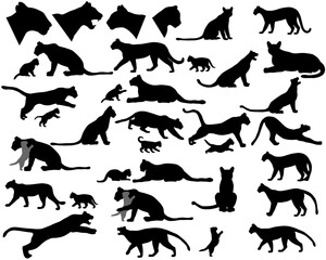 Collection of silhouettes of cougars also named pumas or mountain lions and its cubs