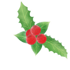christmas holly berries