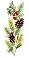 A beautiful watercolor painting depicting pine cones and berries. Perfect for nature-themed designs and holiday decorations
