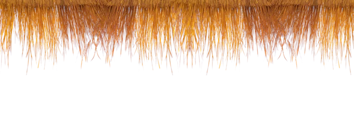 Foto op Plexiglas A roof made of straw on a transparent background PNG can be used as a background in your project. © I LOVE PNG