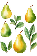 pear ripe watercolor clipart cute isolated on white background