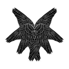 angel wings hand drawing vector isolated on background.