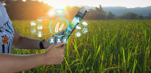 Ai smart farming agriculture concept. People holding smartphone tablet monitor and track...
