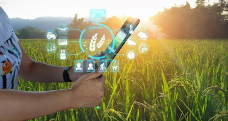Fotobehang Ai smart farming agriculture concept. People holding smartphone tablet monitor and track agricultural produce through modern wireless networks. smart farming innovation, future 5G technology analyze. © Manitchaya