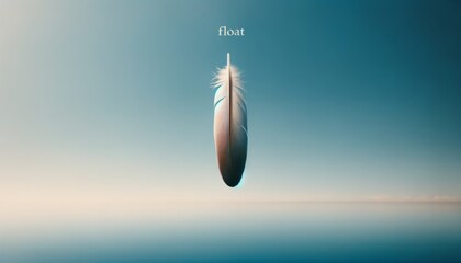 A feather with the word 'Float' set against a serene sky, symbolizing lightness and the effortless transition into the New Year.
 - obrazy, fototapety, plakaty