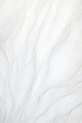 Fantasy abstract thin lines on white background composition