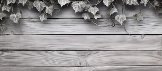Gray vines on a wooden background