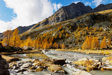 Locality Preda rossa in Val Masino, Valtellina, Italy, autumn view - 669879734