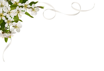 Spring floral corner arrangement with small green leaves and flowers of cherry and scrolled satin ribons isolated on white or transparent background