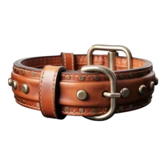 Poster Realistic Leather Dog Collar, on transparent background. © Flowstudio