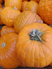 Kürbis für Halloween