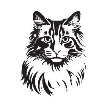 Cat Design Vector, Image, Art