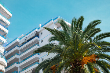 Apartments. Buildings facade exterior with windows, palm trees, real estate property architecture