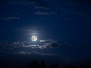 full moon night in the forest blue night sky moonlight background