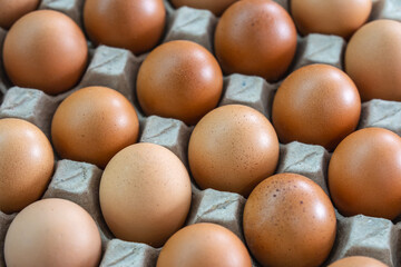 Open egg box with brown eggs. Fresh chicken eggs in a paper tray carton or egg container with copy space.