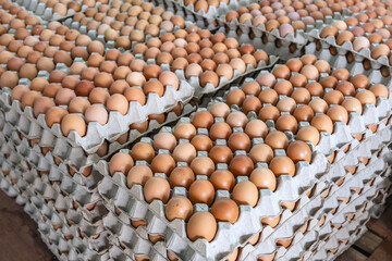 Open egg box with brown eggs. Fresh chicken eggs in a paper tray carton or egg container with copy space.