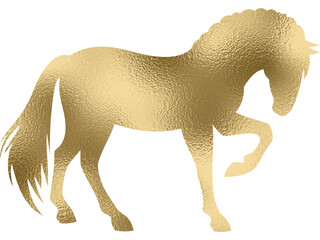 Pferd in gold mit transparentem  Hintergrund 