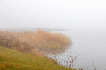 A wetland park shrouded in fog