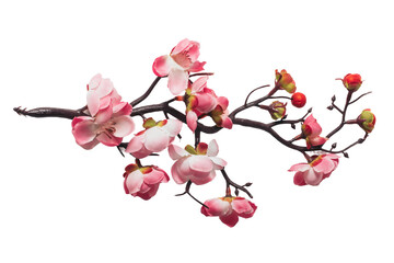 Branch with cherry pink flower isolated on white or transparent background.   - Powered by Adobe