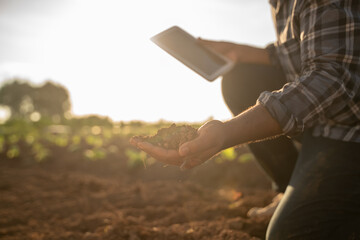 Agriculture with tablets in the field. farmer checking soil health before the growth seed of vegetable or plant seedling. Agriculture, Smart farm, organic gardening, planting, or ecology concept. - obrazy, fototapety, plakaty