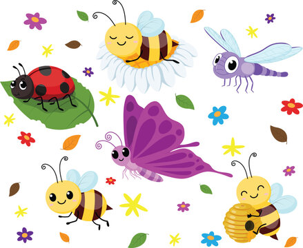 Set of cute character insect cartoons, Butterflies, dragonfly, bees and ladybird
