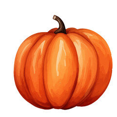 Obraz premium pumpkin isolated on white background