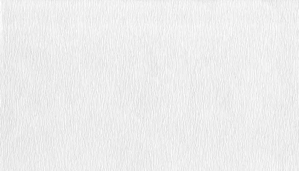 Rolgordijnen 和風の背景イメージに使える、歴史ある白い和紙・檀紙 © AGRX