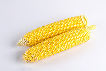 Sweet yellow raw corn cob