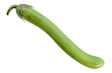 Long eggplant vegetable