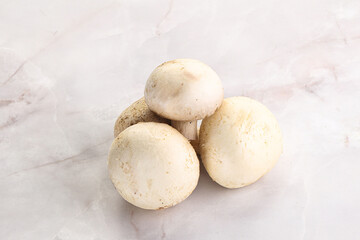 Fototapeta premium Natural organic ripe champignon mushrooms