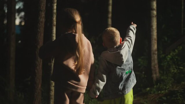 Preschooler children look at wild forest at evening twilight