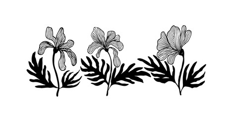 Floral hand drawn collection with linear blossoms and leaves. Pencil drawing flowers. Black and white set in hawaiian style. Vector plants ornament. 
