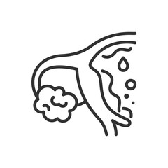 Menstrual renewal endothelium, linear icon. Line with editable stroke