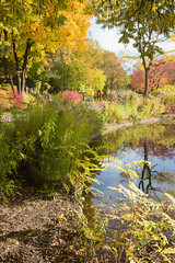 Fototapeta premium beautiful autumnal park landscape, Westpark Munich, with lake