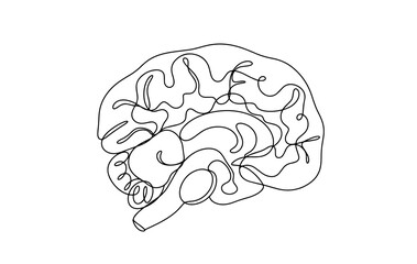 Human brain. One line