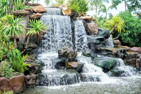 a waterfall in the tropical jungle.