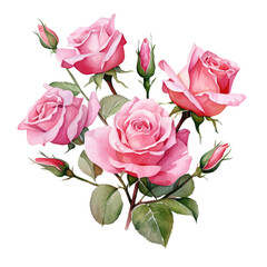 watercolor valentine pink rose clipart