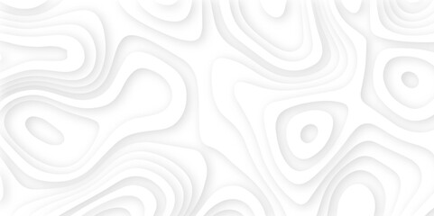 Abstract wavy line 3d paper cut white background. Topographic canyon geometric map relief texture with curved layers and shadow. Abstract realistic papercut decoration textured with wavy layers