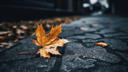 Close up of a autumn yellow leaf on the ground