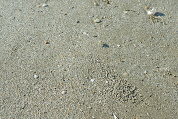 Closeup sea sand beach. Panoramic beach landscape. Inspire tropical beach seascape horizon.