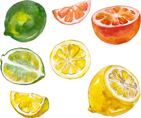 Vector Watercolor painted collection of fruits. Hand drawn fresh food design elements isolated on white background.