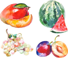 Vector Watercolor painted collection of fruits. Hand drawn fresh food design elements isolated on white background.
