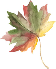 Abstract vector watercolor illustration of autumn leaves. Hand drawn nature design elements isolated on white background.