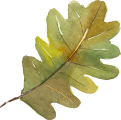 Abstract vector watercolor illustration of autumn leaves. Hand drawn nature design elements isolated on white background.