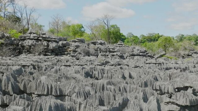Fly next to stones with trees in Tsingy - Madagascar