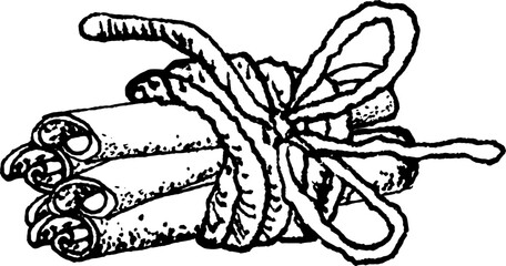 Hand drawn glass transparent cinnamon sticks tied in a bunch vector illustration Decorative element