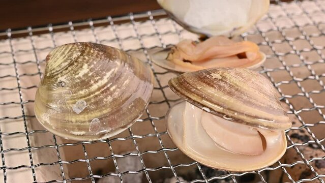 ハマグリの浜焼き