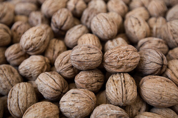 many walnuts close-up