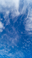 Autumn sky with clouds. Sky with clouds. The wind blows the clouds
