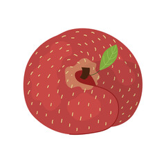 Donut flat peach print in cartoon style. Fresh fruit element isolated on white background. Organic healthy food clipart. Vector illustration © juliyas